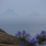 The Skelligs